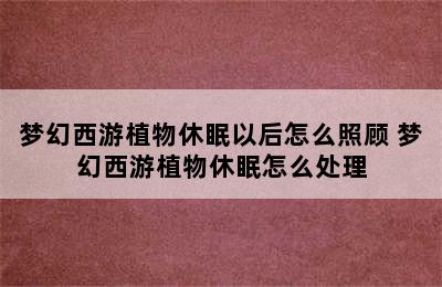 梦幻西游植物休眠以后怎么照顾 梦幻西游植物休眠怎么处理